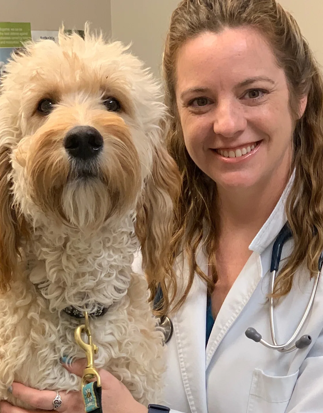 Jennifer Marble Jennifer Marble