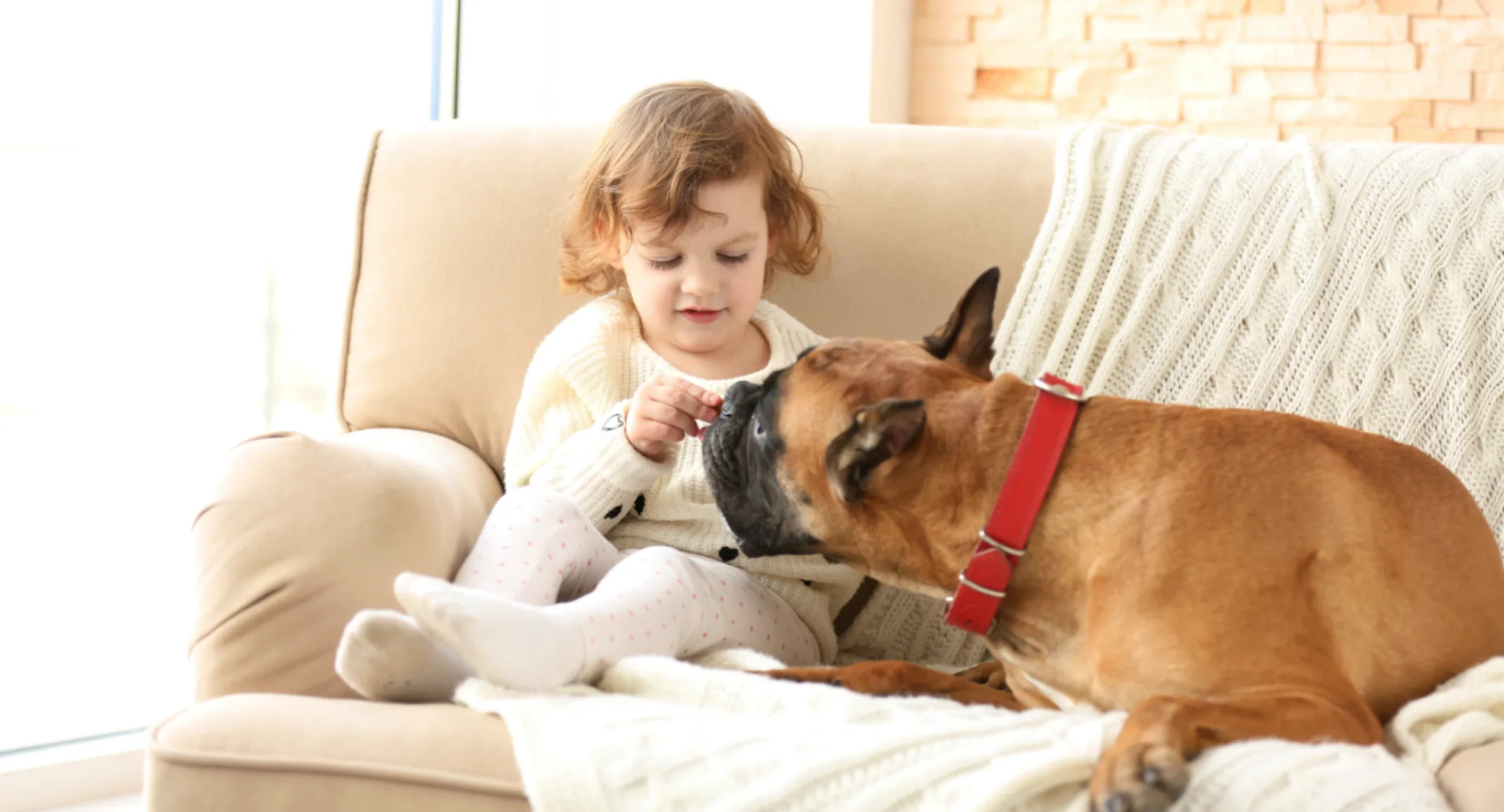 Small Child Sitting on Couch with Dog Small Child Sitting on Couch with Dog