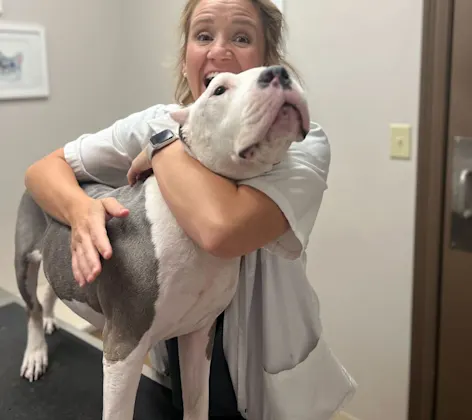 vet hugging dog vet hugging dog