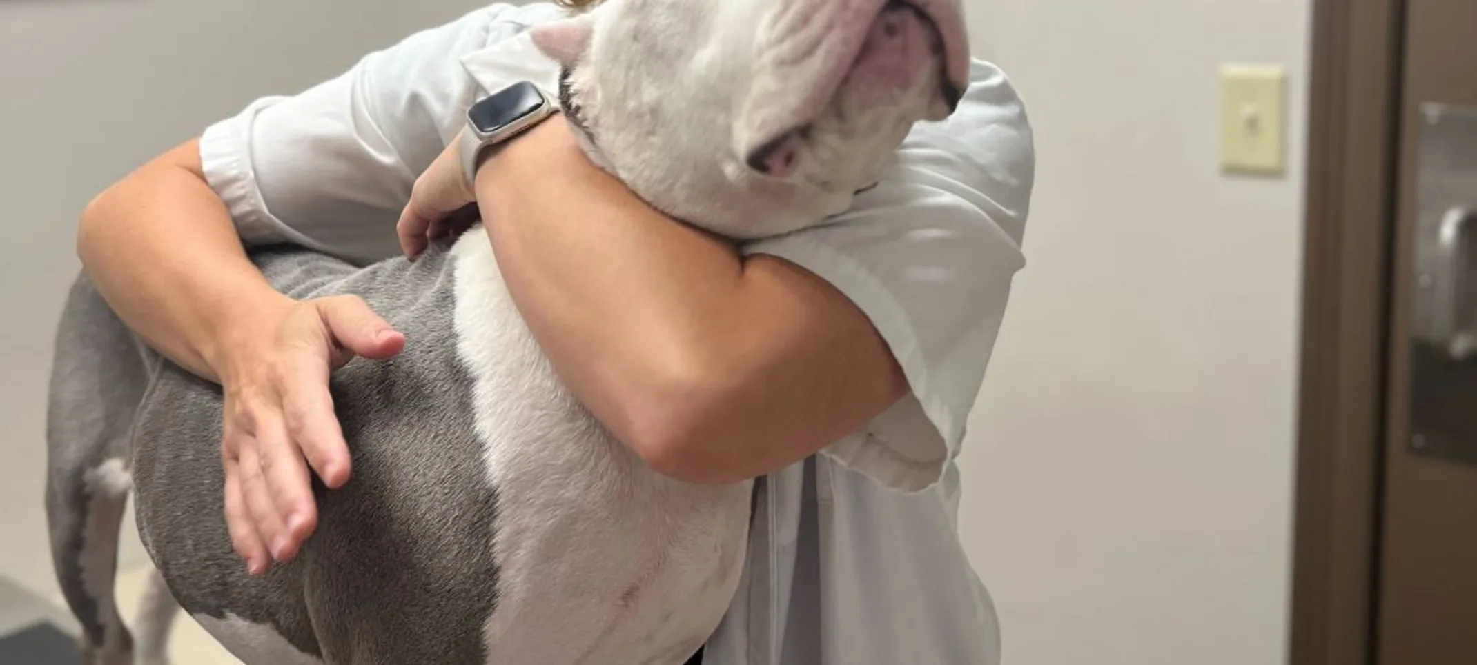 vet hugging dog vet hugging dog
