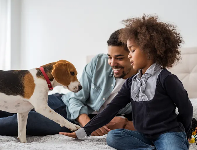 Adult, child and dog on bed. The dog's paw and child's hand are touching and the adult is smiling. Adult, child and dog on bed. The dog's paw and child's hand are touching and the adult is smiling.