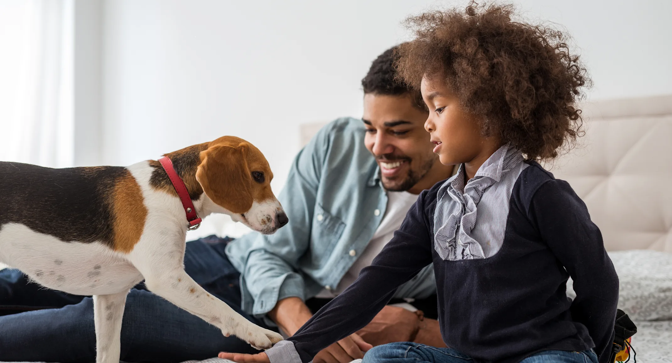 Adult, child and dog on bed.  The dog's paw and child's hand are touching and the adult is smiling. Adult, child and dog on bed.  The dog's paw and child's hand are touching and the adult is smiling.