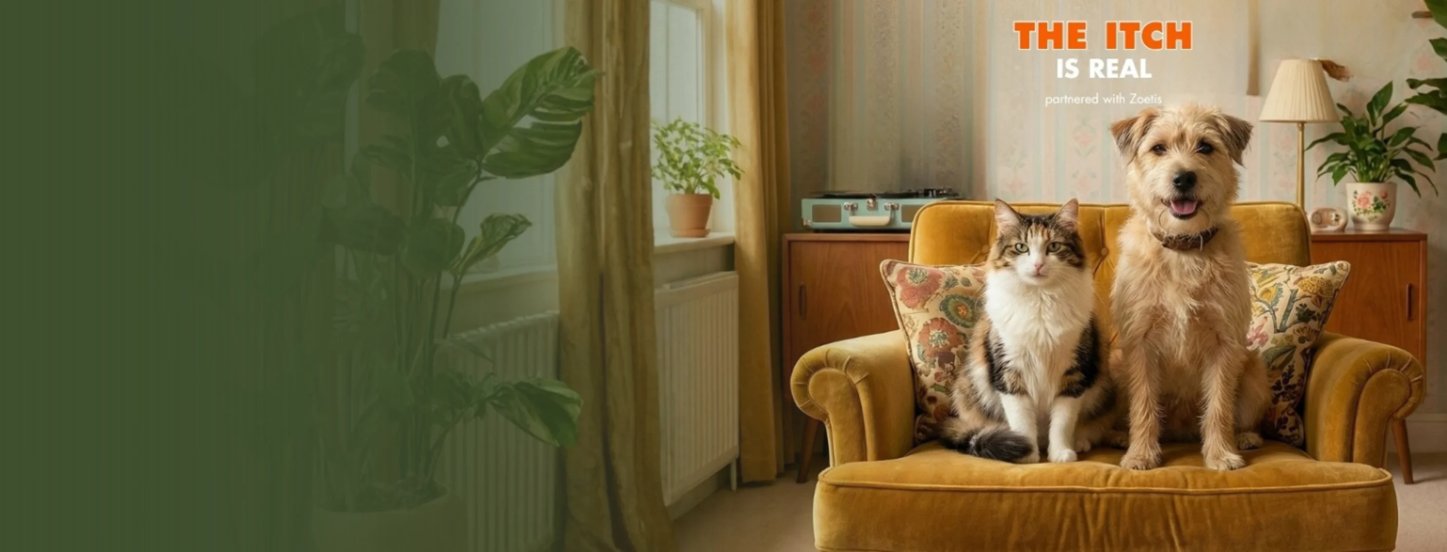 Itchy Pet? Itchy Pet?