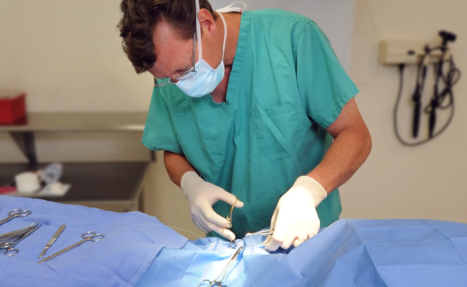 Henniker Veterinary Hospital veterinarian giving stitches to an animal out of frame