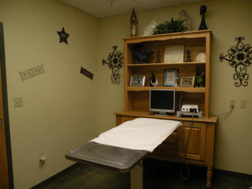 Exam Room at Southside Animal Hospital