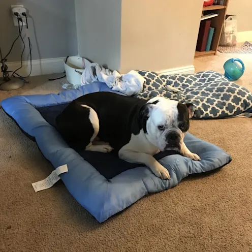 Otto Letterhouse Otto Letterhouse