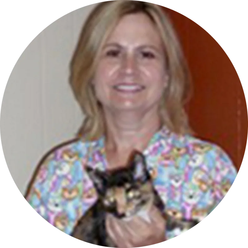 Dr. Sheryl VanDeMark Dr. Sheryl VanDeMark