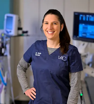 Stacey Wylie Stacey Wylie