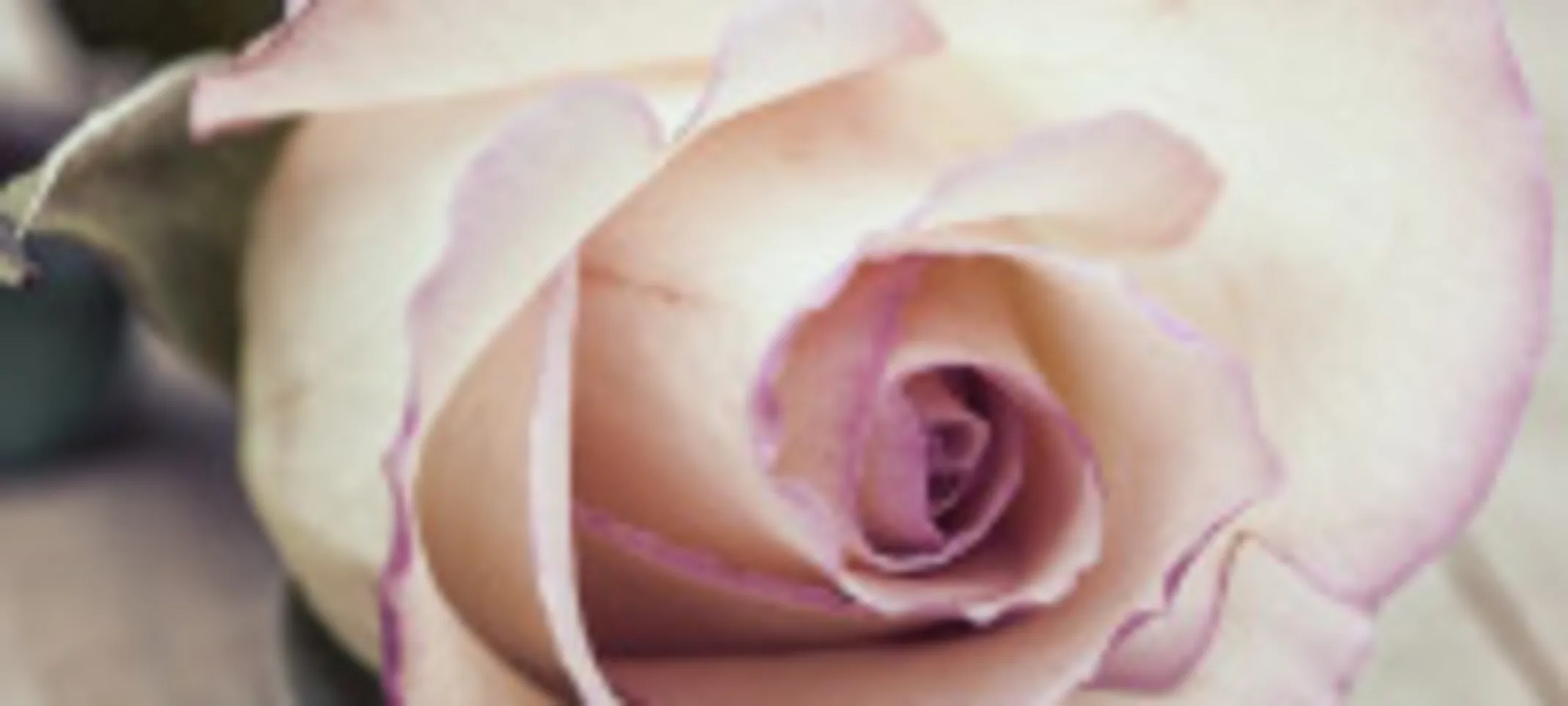 Flower Pedal Flower Pedal