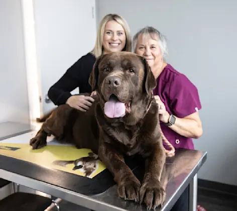A dog and two staff members A dog and two staff members