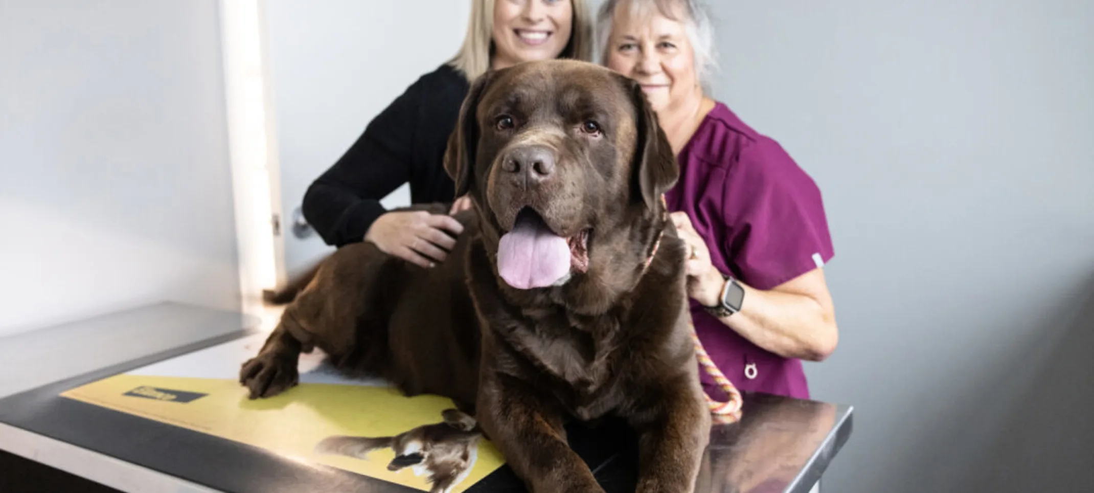 A dog and two staff members A dog and two staff members
