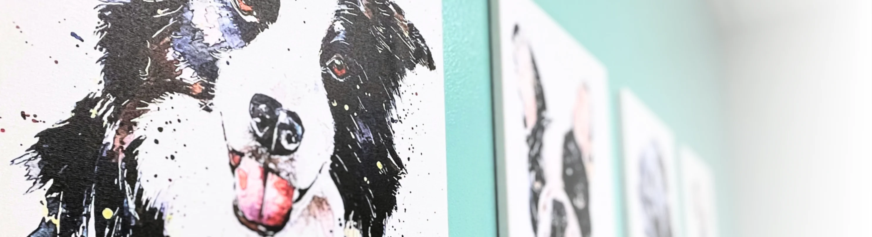 Paintings in the lobby of Belmont Shore Veterinary Hospital Paintings in the lobby of Belmont Shore Veterinary Hospital