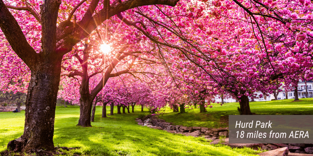 An image of the Hurd Park with text stating "Hurd Park 18 miles from AERA".