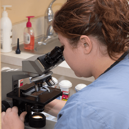 laboratory equipment and microscope at Friendship Hospital for Animals