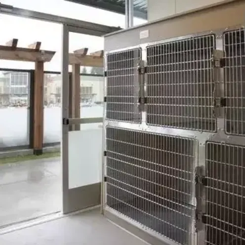 Large kennels at Northpointe Animal Hospital