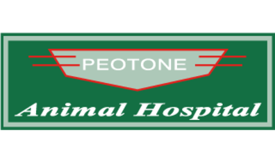 Peotone Animal Hospital-HeaderLogo