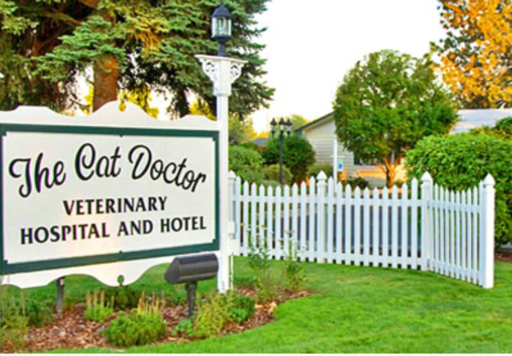 The Cat Doctor sign and building The Cat Doctor sign and building