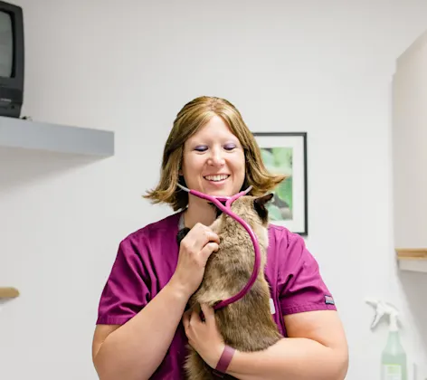 East Springs Animal Hospital staff holding a cat. East Springs Animal Hospital staff holding a cat.