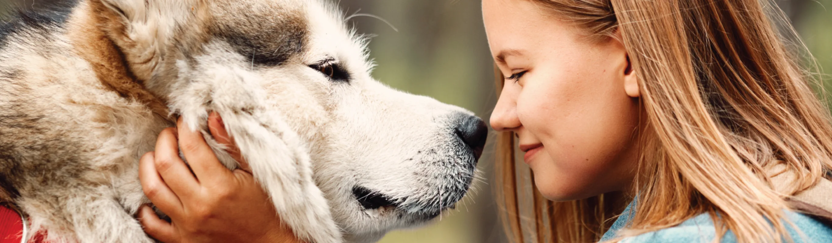 Dog and Woman Looking At Each Other