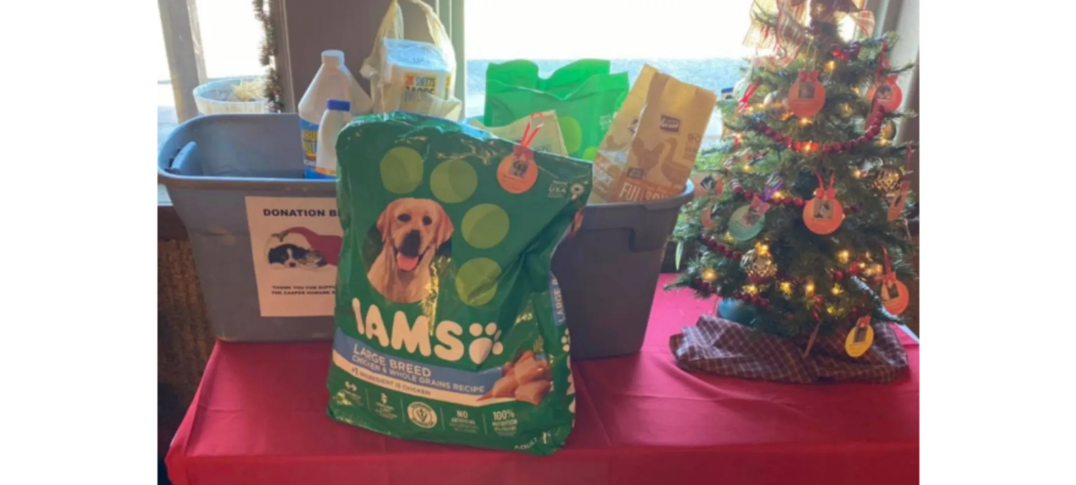 Mini Christmas Tree, Donation Supplies, and a bag of IAMS Dog Food