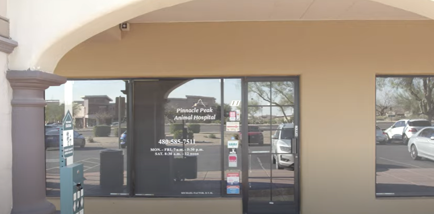 Front Doors of Pinnacle Peak Animal Hospital