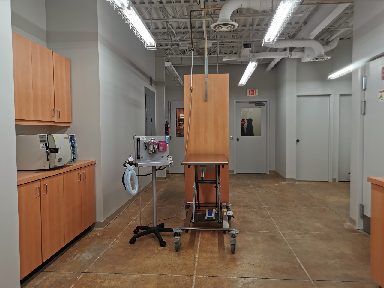 Upstairs Surgery Workstation at Abbotsford Animal Hospital
