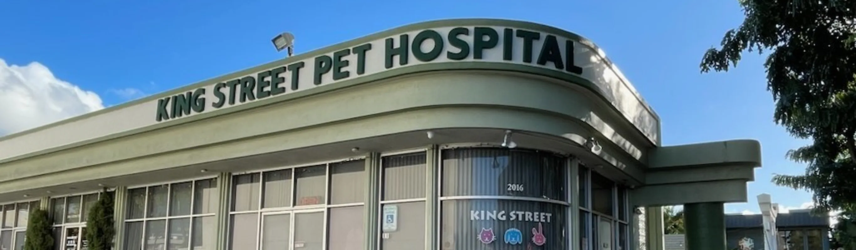 King Street Pet Hospital Exterior King Street Pet Hospital Exterior