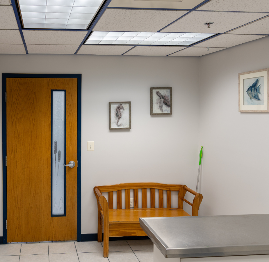 Exam room table and bench