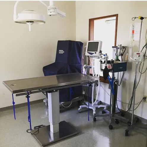 Surgery Table