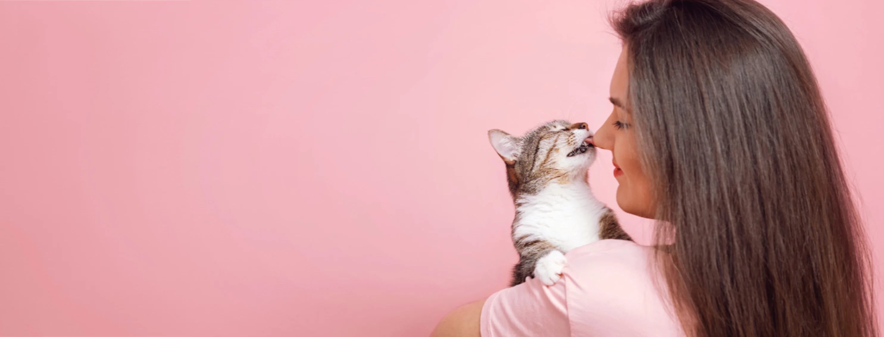 Kitten Licking a Woman's Nose Kitten Licking a Woman's Nose