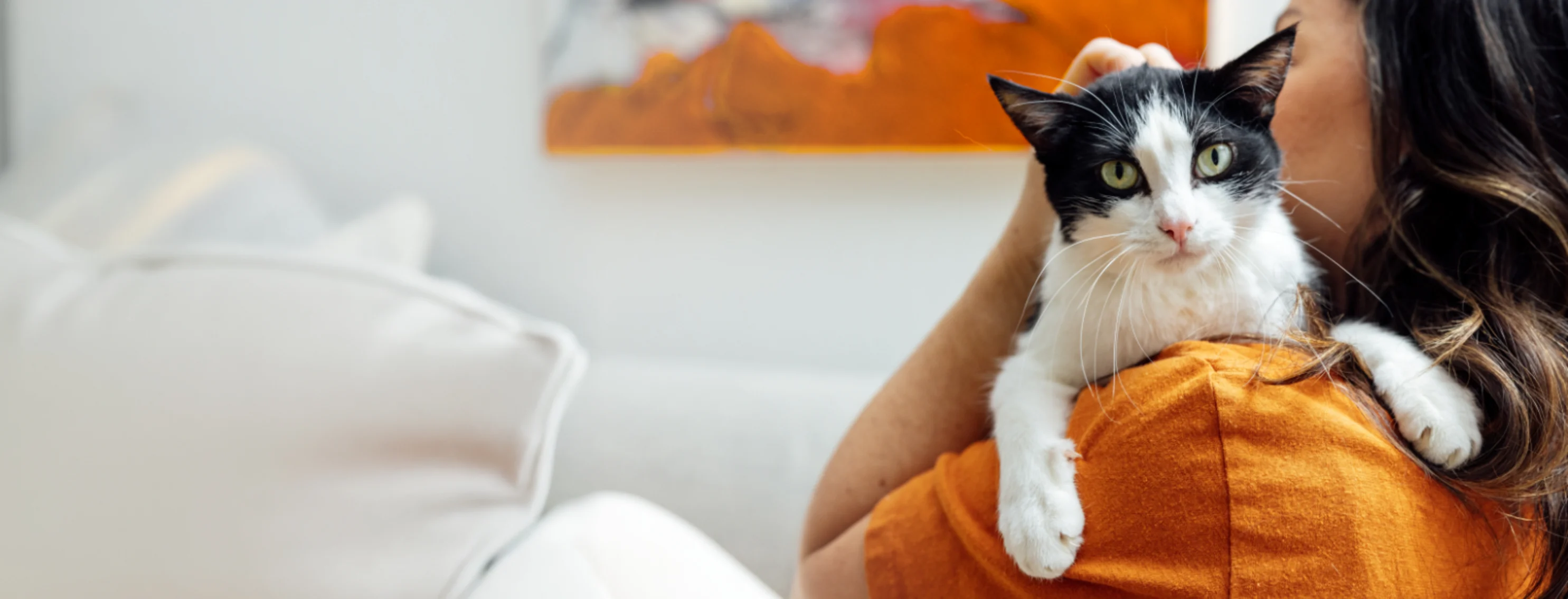 Woman Hugging B&W Cat Looking at Camera Woman Hugging B&W Cat Looking at Camera