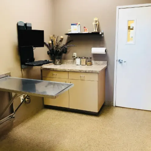 Exam Room at Stonecrest Animal Hospital Exam Room at Stonecrest Animal Hospital