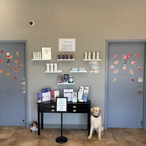 Exam Rooms Exam Rooms