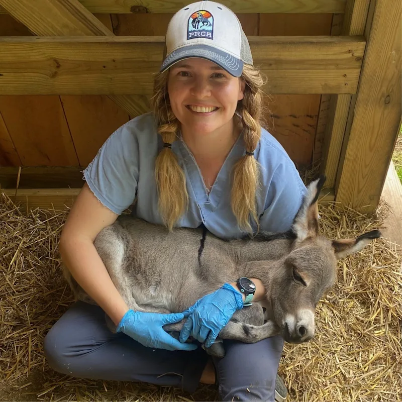 Dr. A. Cate Crowley Dr. A. Cate Crowley