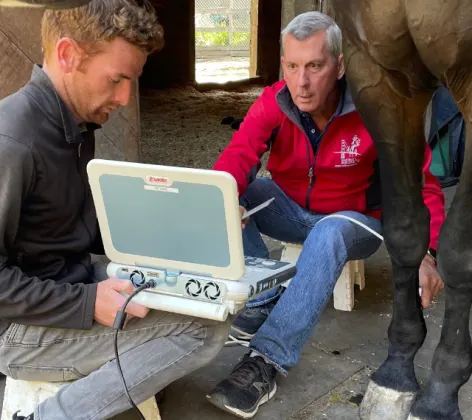 Two Veterinarians Performing an Ultrasound on a Horse at Bayhill Equine