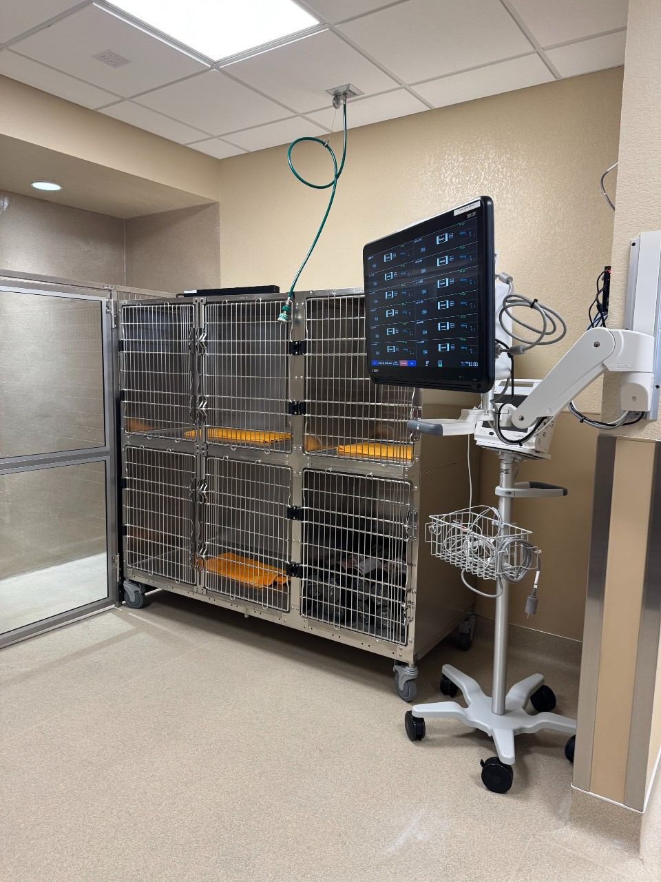 Vitals monitor standing next to two rows of stacked kennels.