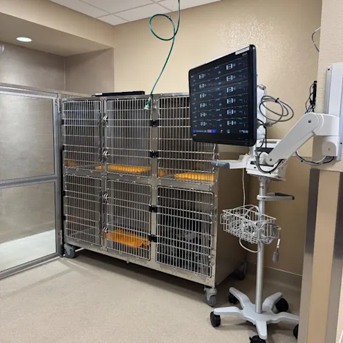 Vitals monitor standing next to two rows of stacked kennels. Vitals monitor standing next to two rows of stacked kennels.