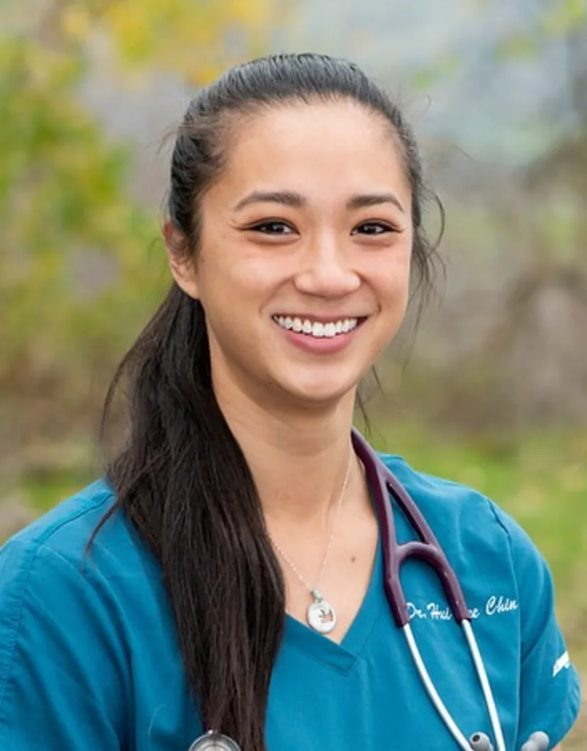 Dr. Hui Nee Chin