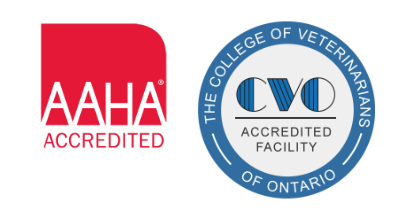 AAHA & CVO Accreditation Logos