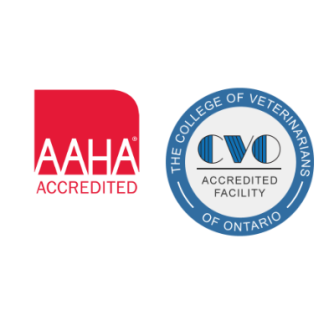 AAHA & CVO Accreditation Logos