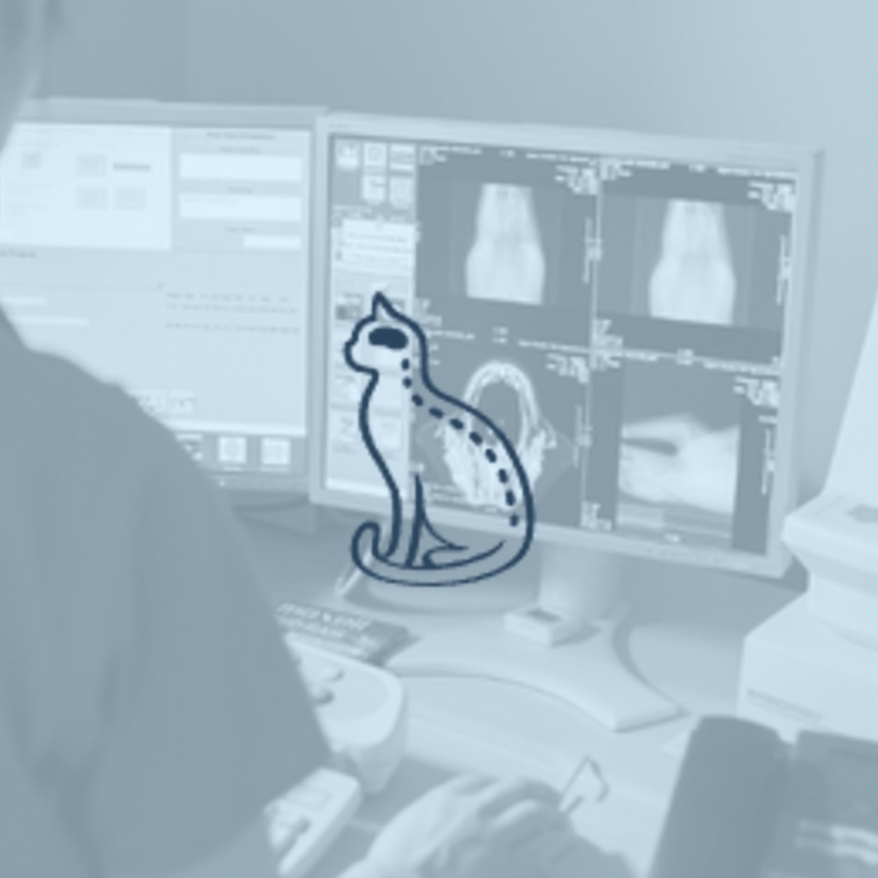 Veterinarian checking a neurology chart on a computer and a cat logo