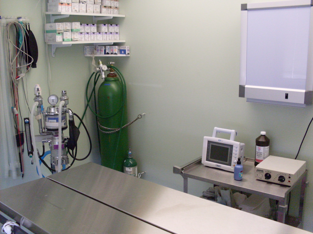 Inside the room at the Mentor Animal Hospital
