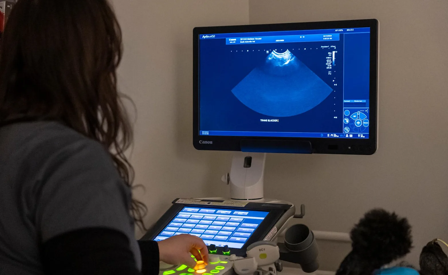 Woman looking at an ultrasound Woman looking at an ultrasound