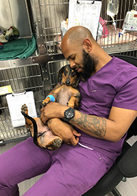 A dog cuddling with a veterinary employee