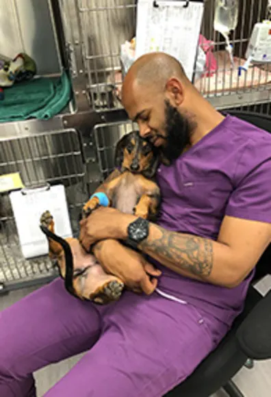 A dog cuddling with a veterinary employee A dog cuddling with a veterinary employee