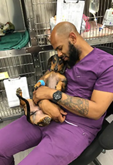 A dog cuddling with a veterinary employee