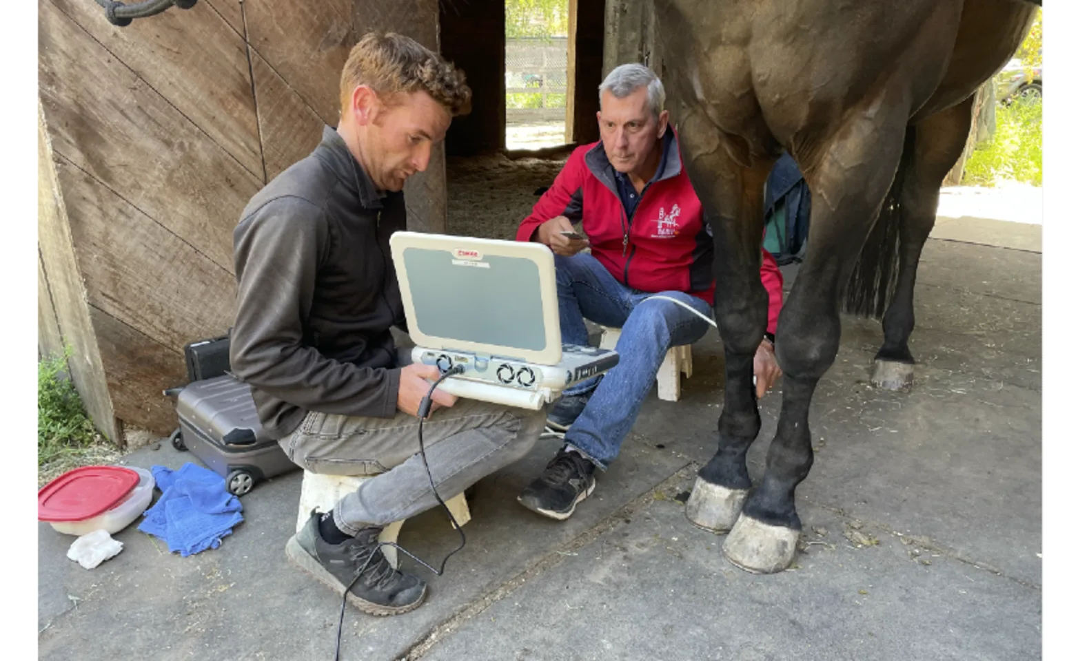 Two Men Sitting with a Laptop Checking on the Horse