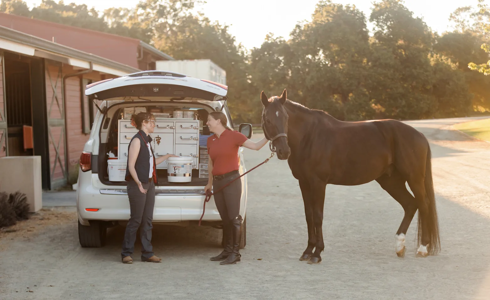 Two Men Sitting with a Laptop Checking on the Horse Two Men Sitting with a Laptop Checking on the Horse