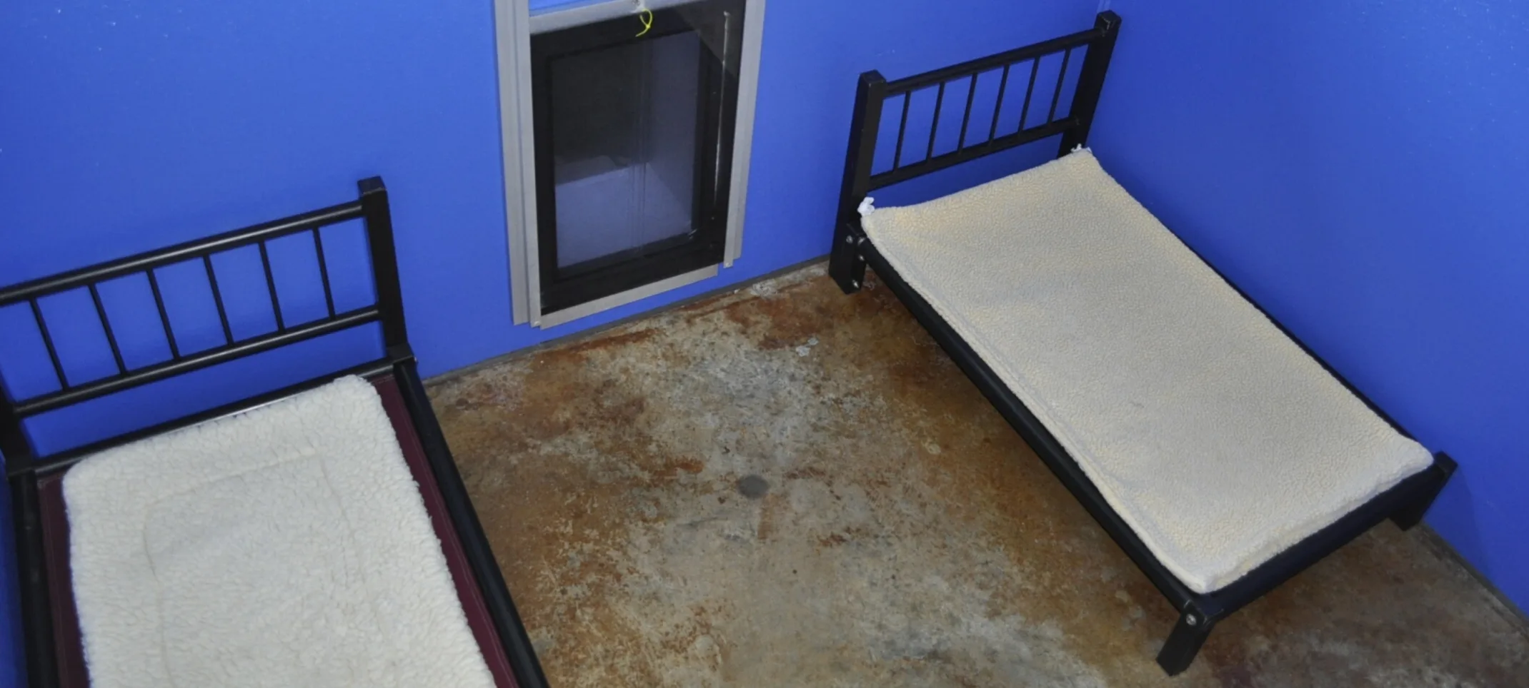 Lafayette Veterinary Care Center Boarding Room with Two Beds