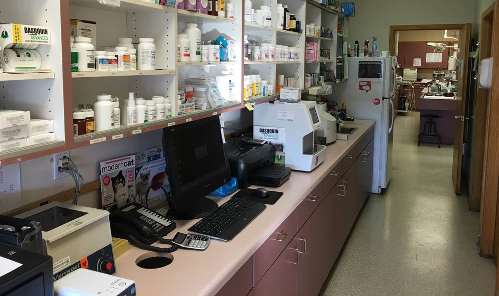 Holladay Veterinary Hospital laboratory area.